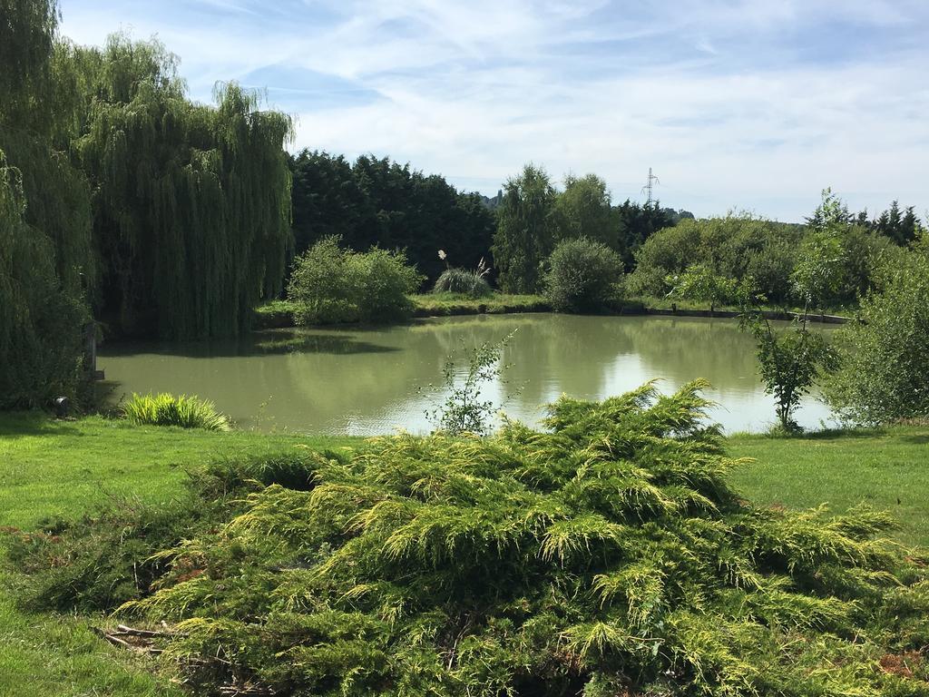Gites - Domaine De Geffosse Pont-l'Eveque  Luaran gambar